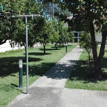 Casa Da Cavada Villa กามีนญา ภายนอก รูปภาพ