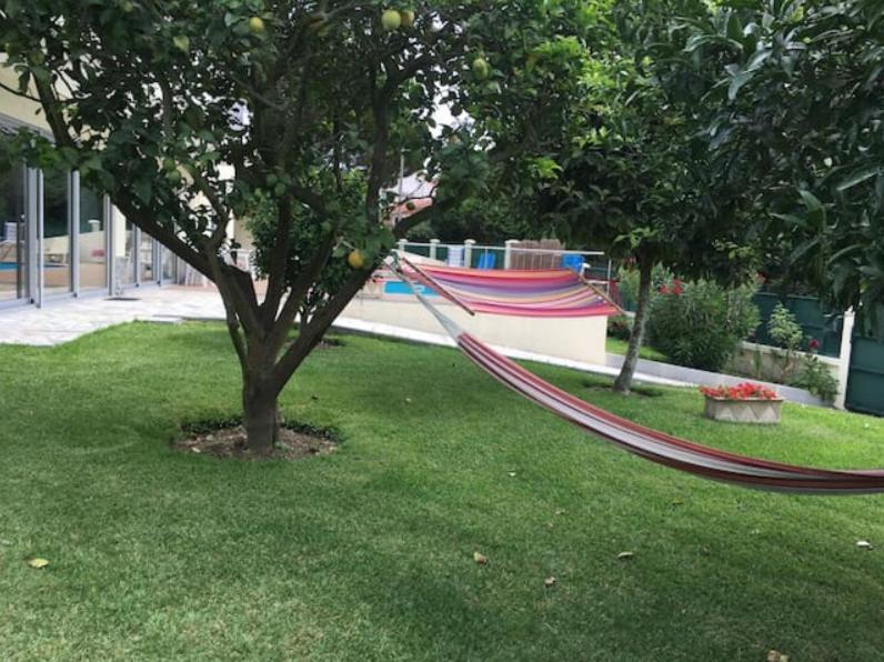 Casa Da Cavada Villa กามีนญา ภายนอก รูปภาพ